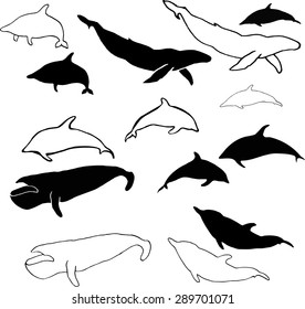 Set of silhouettes of dolphins, whales and black contours. Graphic drawing. A selection of silhouettes of mammals.