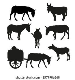 Set of silhouettes of a donkey in various poses. Vector illustration isolated on the white background
