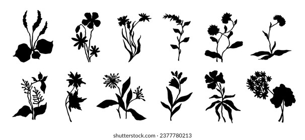 Set of silhouettes, doodles of wild herbs, flowers, branches. Vector graphics.