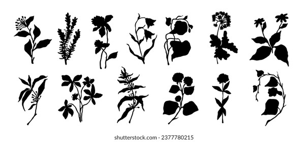 Set of silhouettes, doodles of wild herbs, flowers, branches. Vector graphics.