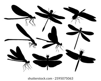 Set of silhouettes of dragonflies.
