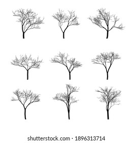 Set of silhouettes of dry bare trees. Isolated objects, vector illustration