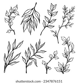 Set of silhouettes of dry trees, bushes. Vector graphics.	