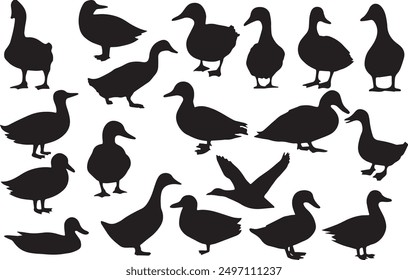 set of silhouettes of duck illustration vector cute duck clipart Black and White Stock Photo