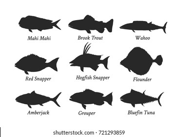 Set of silhouettes of edible kinds of fish.