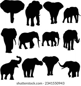 Set of silhouettes of elephants in different pose