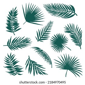 Satz von Silhouetten von elf Palmenblättern