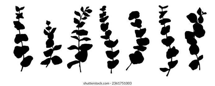 Set of silhouettes of eucalyptus branches. Vector graphics.