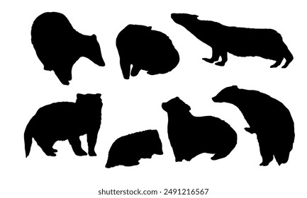 Set of silhouettes of European badgers Meles meles. Forest wild animals of Europe. Vector animals