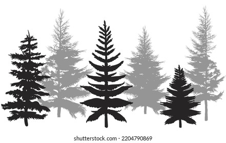 set of silhouettes of evergreen trees, christmas tree, spruce, pines on a white background