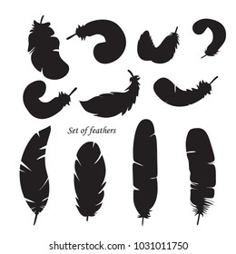Set of silhouettes of feathers on white background
