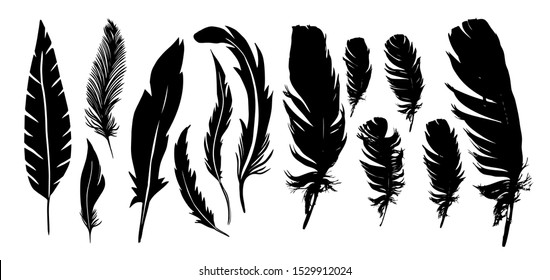 Set Silhouettes Feathers Vector Illustration Stock Vector (Royalty Free ...