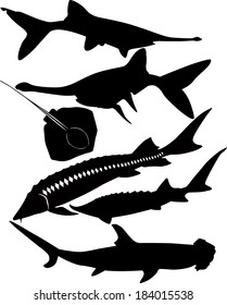 set of silhouettes of fish isolated on white background
