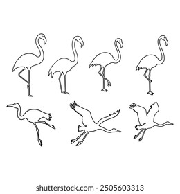 Set of silhouettes of flamingo birds .Flamingo silhouettes set, large pack of vector silhouette design, isolated white background 
