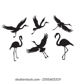 Set of silhouettes of flamingo birds .Flamingo silhouettes set, large pack of vector silhouette design, isolated white background 