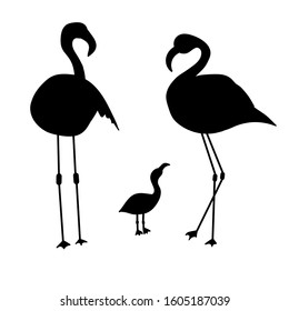 Set of silhouettes of a flamingo family with a chick on a white isolated background. Vector stock illustration. Suitable for design postcards, posters, banners, prints,