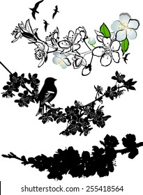 set of silhouettes of flowering branches