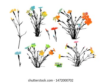 A set of silhouettes of flowers. carnation multi-colored flowers. Vector illustration