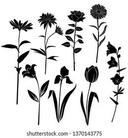 Set of silhouettes of flowers chamomile, daisy, campanula, rose,  wild flowers, vector, black  color, isolated on white background