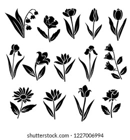 Set of silhouettes of flowers chamomile, rose, tulip, lily, iris, daisy, campanula, wild flowers, vector, black  color, isolated on white background