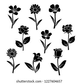 Set of silhouettes of flowers chamomile, rose,  lily, daisy, campanula, wild and garden  flowers, vector, black  color, isolated on white background