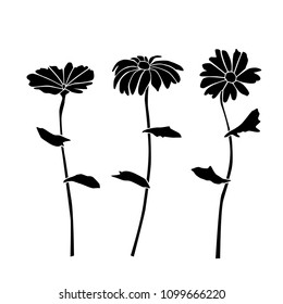 Set of silhouettes of flowers daisies, carnations, chamomile, vector, black color, isolated on white background