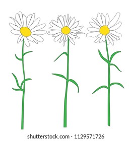 Set of silhouettes of flowers daisies, carnations,  vector, black, green, yellow and white  color, isolated on white background