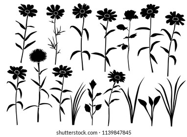 Set of silhouettes of flowers daisies, carnations, rose, wild and garden flowers, vector, black  color, isolated on white background