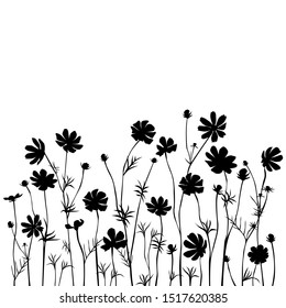 Set of silhouettes of flowers daisies, chamomile, vector, black color, isolated on white background