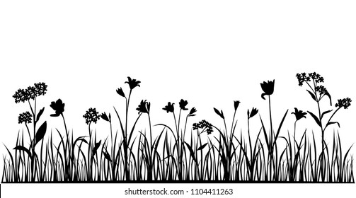 Set of silhouettes of flowers daisies, lily, tulip wild and garden flowers, grass, border,  vector, black color, isolated on white background