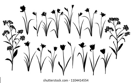 Set of silhouettes of flowers daisies, lily, tulip wild and garden flowers,  vector, black color, isolated on white background