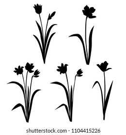 Set of silhouettes of flowers daisies, lily, tulip wild and garden flowers,  vector, black color, isolated on white background