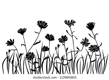 Set of silhouettes of flowers daisies, wild and garden flowers, grass, vector, black color, isolated on white background