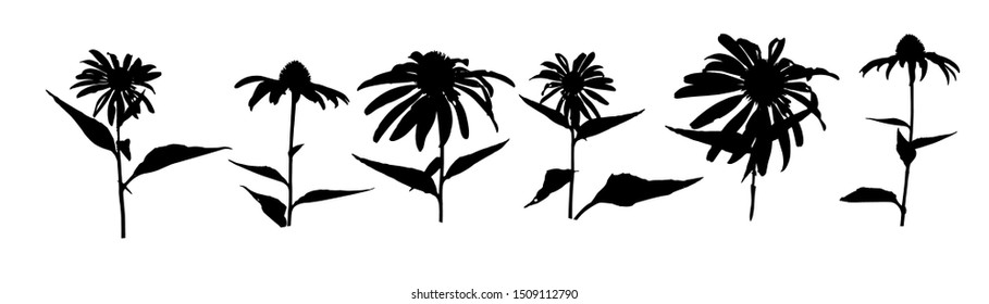 Set of silhouettes flowers isolated on white. Vector illustrations