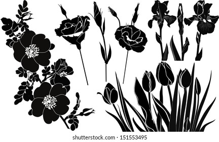 set of silhouettes of flowers isolated on white background