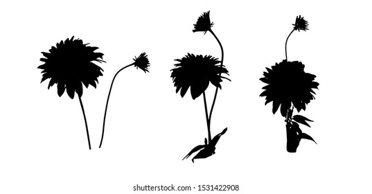 Set Silhouettes Flowers Isolated On White Stock Vector (Royalty Free ...