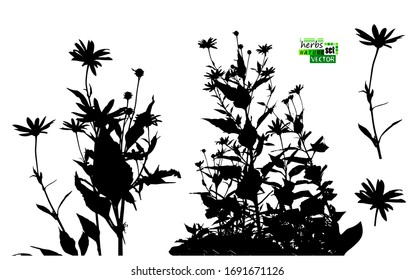 Set of silhouettes flowers isolated on white. Vector illustrations