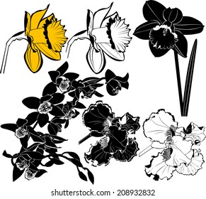 set of silhouettes of flowers isolated on white background