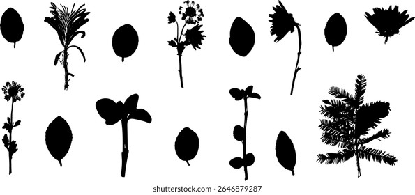 Set of silhouettes of flowers, leaves and branches. Suitable for creating patterns, textile designs, icons. Black image on a white background, separate single elements