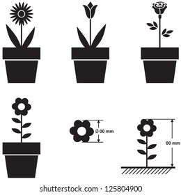 A set of silhouettes of flowers in pots and flower size scheme