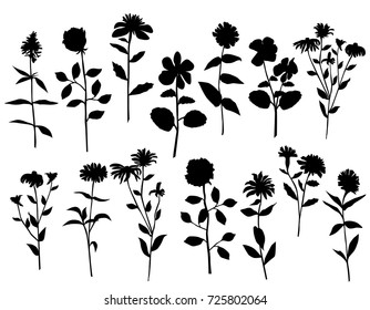 Set of silhouettes of flowers, rose, chamomile, dandelion, isolated on white background