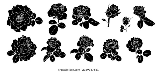 Conjunto de siluetas de flores y rosales. Gráficos vectoriales.