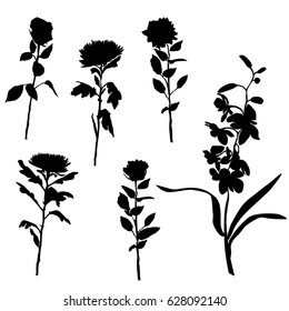 Set of silhouettes of flowers, roses, chrysanthemums, orchids, vector, black color, isolated on white background, hand drawing