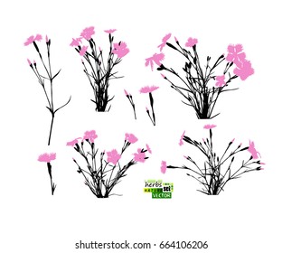 Set of silhouettes of flowers. Vector