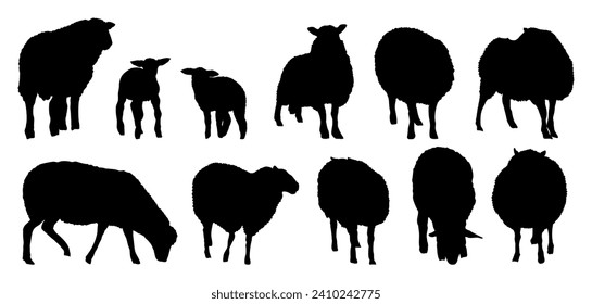 Set of silhouettes fluffy sheep and lambs. Domestic farm animals. Realistic vector animals