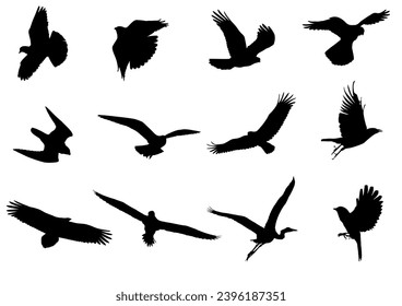 Set of silhouettes of flying birds