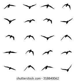Set of silhouettes of flying birds