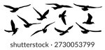 Set of silhouettes of a flying birds, an eagle or a seagull, vector image, black color, isolated on a white background