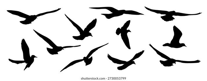 Conjunto de siluetas de un pájaro volador, un águila o una gaviota, Imagen de Vector, color negro, aislado en un fondo blanco