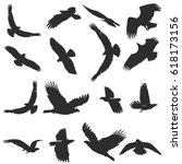 Set of silhouettes of flying birds. Separately isolated vector image on white background